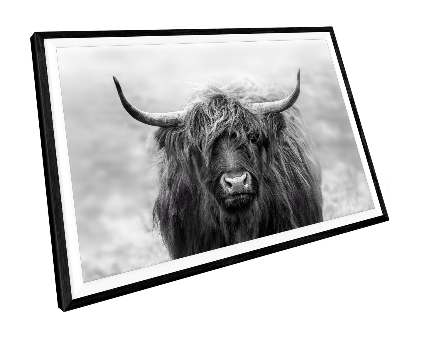Black & White Highland Cow Wall Art Print - Rustic Farmhouse Home Décor