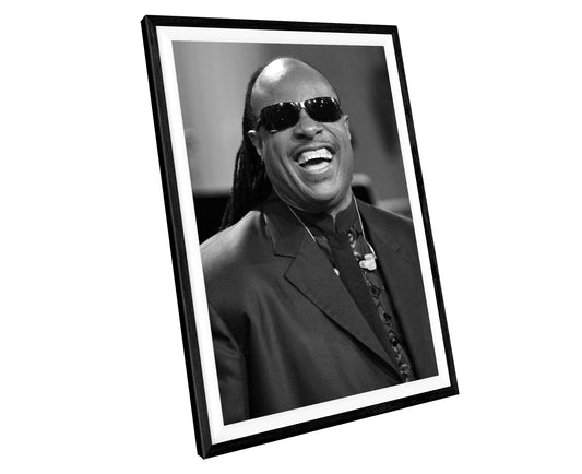 Stevie Wonder Music Icons WALL ART PRINT Picture Poster Wall Hanging