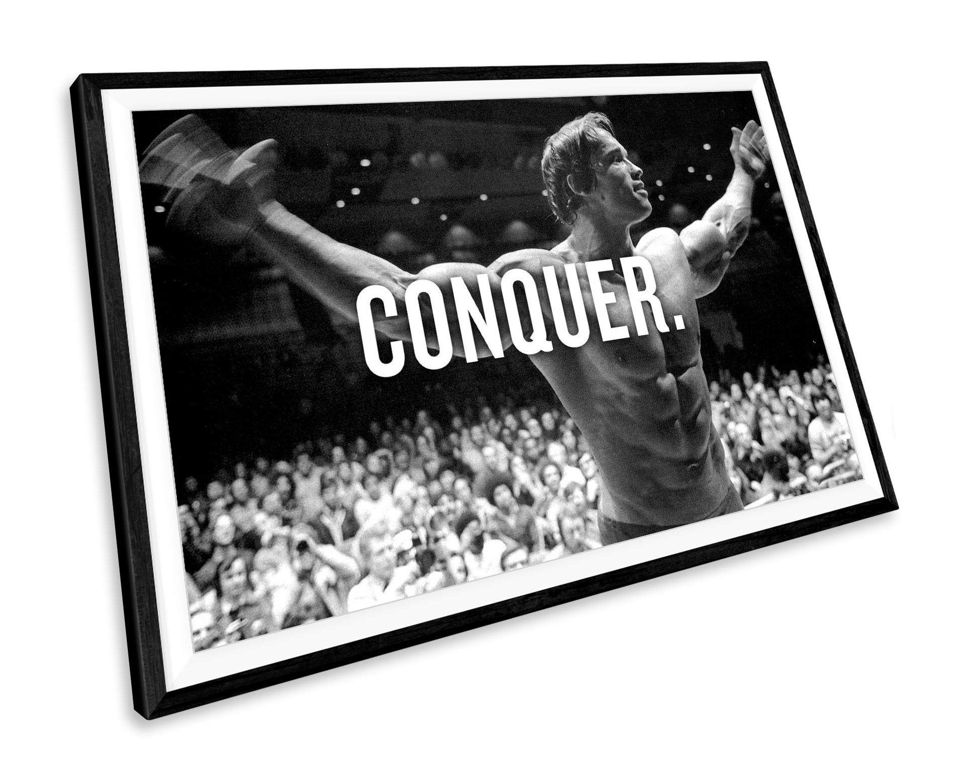 Arnold Schwarzenegger WALL ART PRINT Poster Picture Wall Hanging