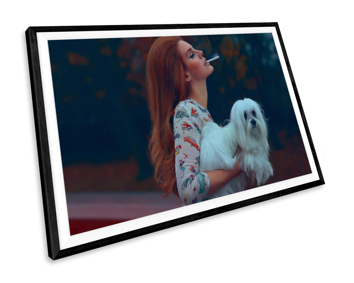 Lana Del Rey WALL ART PRINT Poster Picture Wall Hanging
