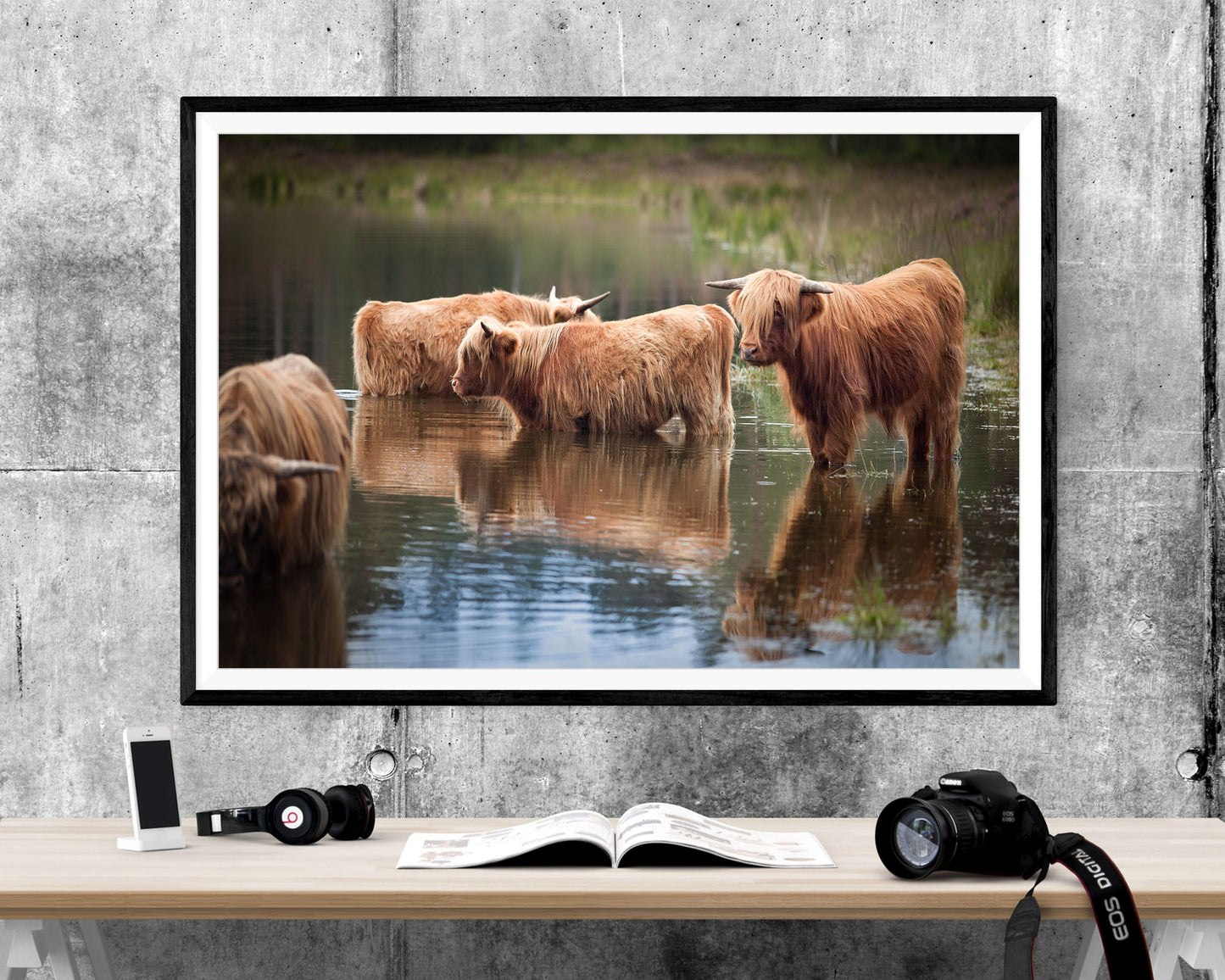 Highland Cow Scotland WALL ART PRINT Poster Picture Wall Hanging