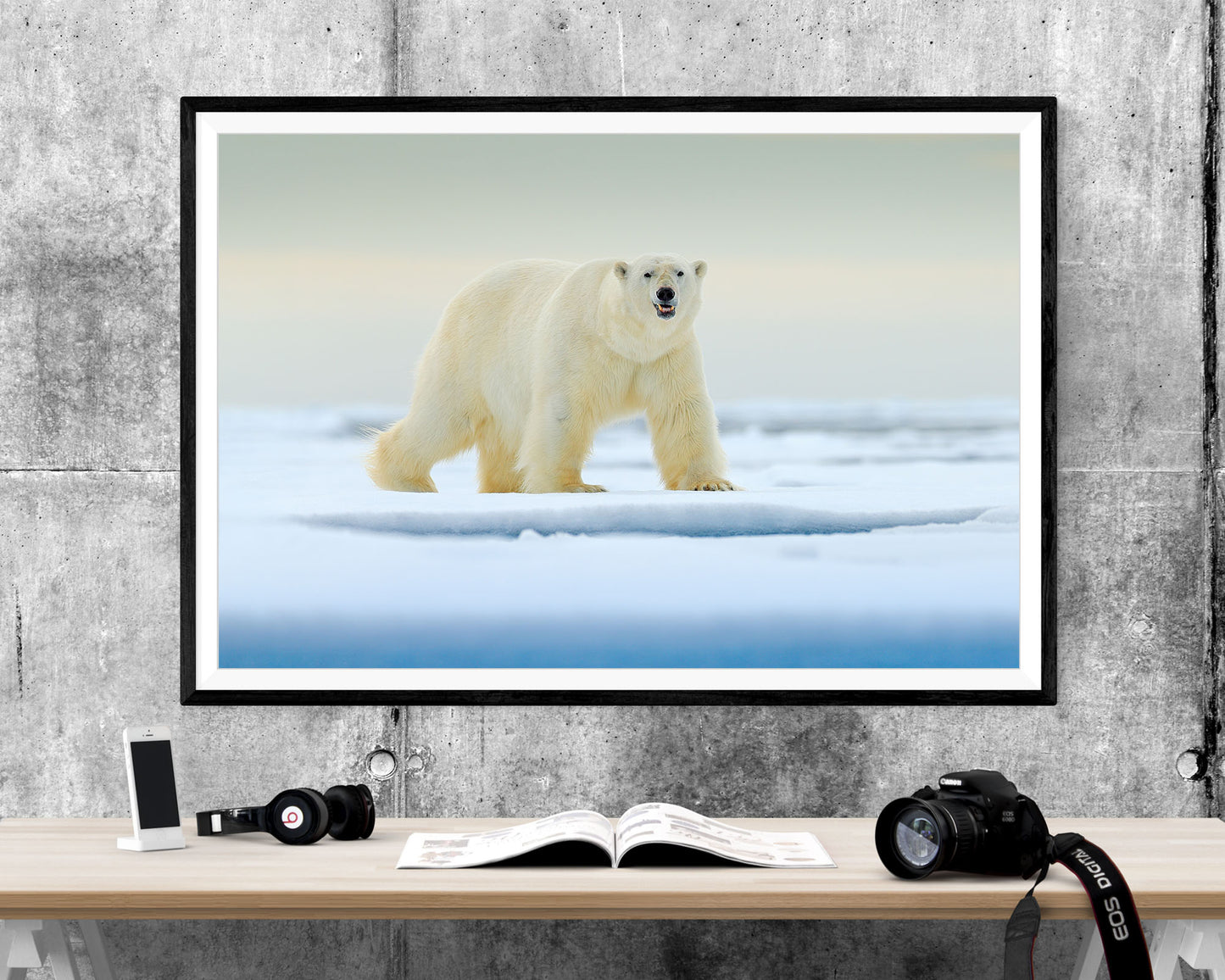 Polar Bear Wildlife Scenic WALL ART PRINT Poster Picture Wall Hanging