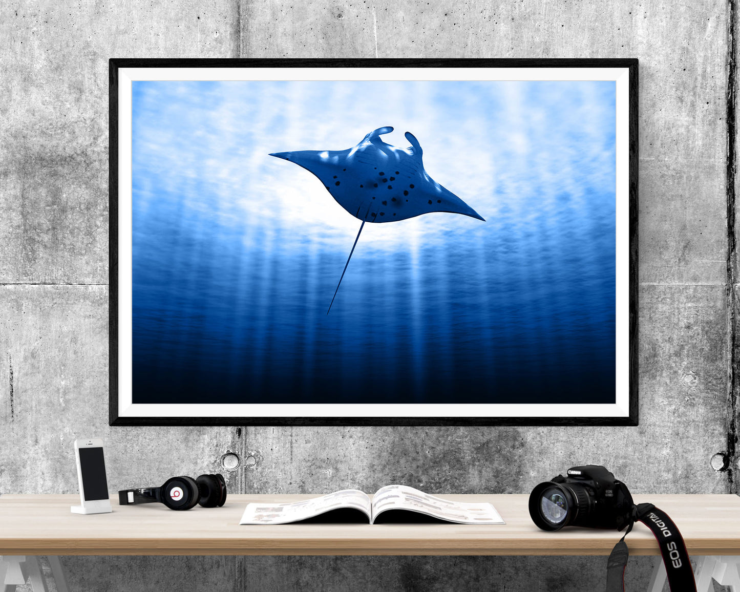 Manta Ray Sealife Wildlife WALL ART PRINT Poster Picture Wall Hanging