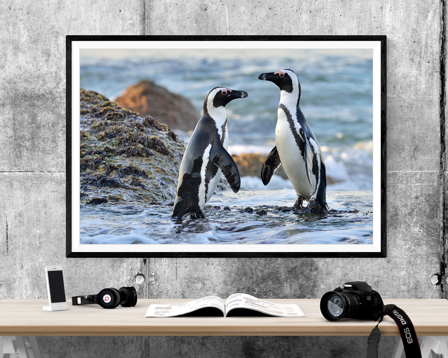 Penguins Wildlife WALL ART PRINT Poster Picture Wall Hanging