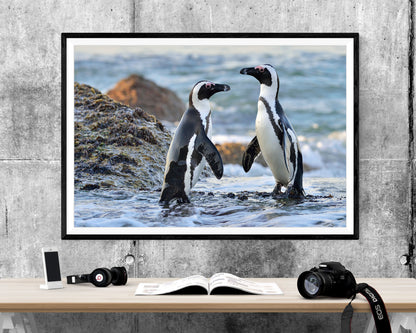 Penguins Wildlife WALL ART PRINT Poster Picture Wall Hanging