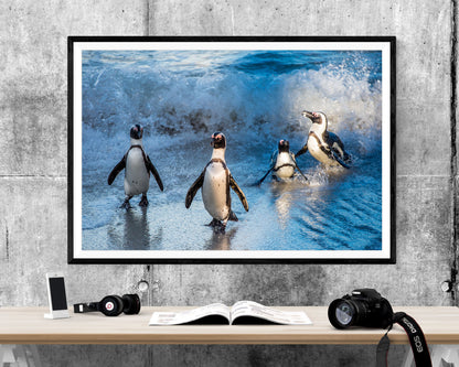 Penguins Wildlife Seascape WALL ART PRINT Poster Picture Wall Hanging