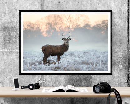 Winter Stag Animal WALL ART PRINT Poster Picture Wall Hanging