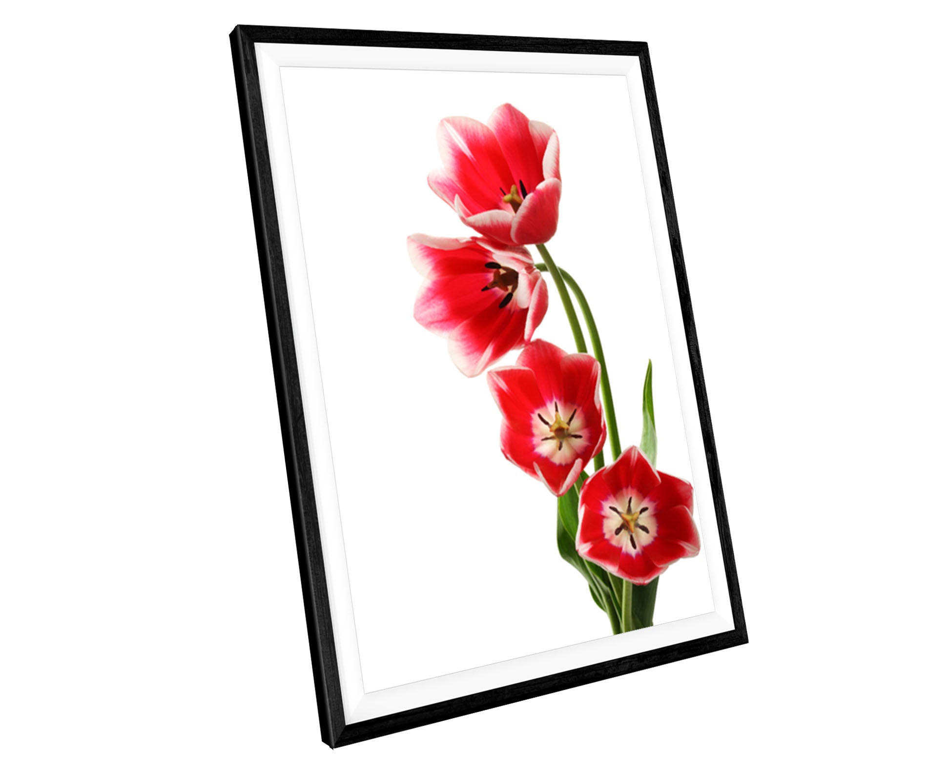 Red Tulips Flowers WALL ART PRINT Poster Picture Wall Hanging