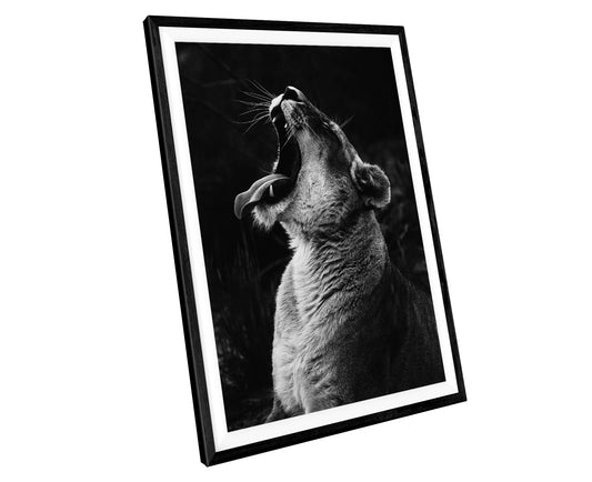 Lion Black & White WALL ART PRINT Poster Picture Wall Hanging