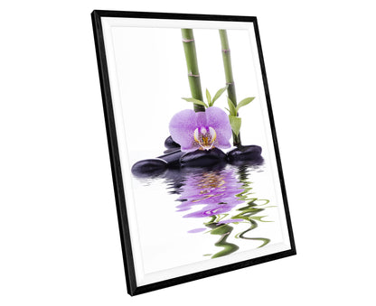 Spa Orchid Bamboo Modern Bathroom Minimalist WALL ART PRINT Poster Picture