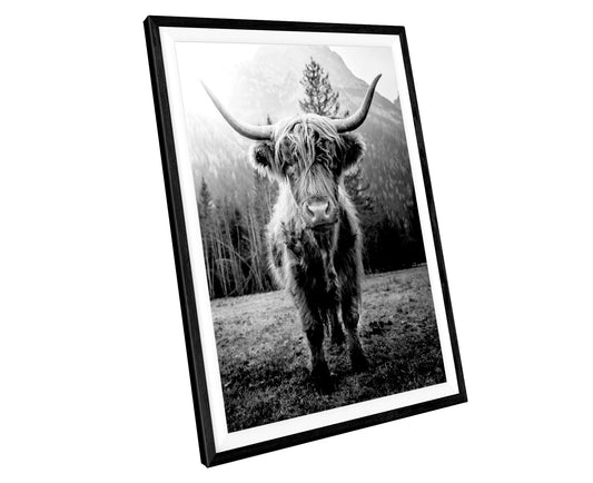 Scottish Highland Cow WALL ART PRINT Poster Picture