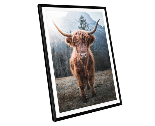 Scottish Highland Cow PRINT WALL ART Poster Picture