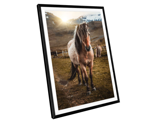 Horse Animals WALL ART PRINT Poster Picture Wall Hanging