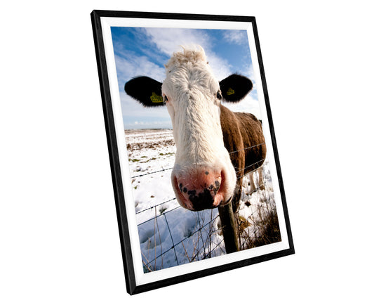 Cow Farm Animal WALL ART PRINT Poster Picture Wall Hanging