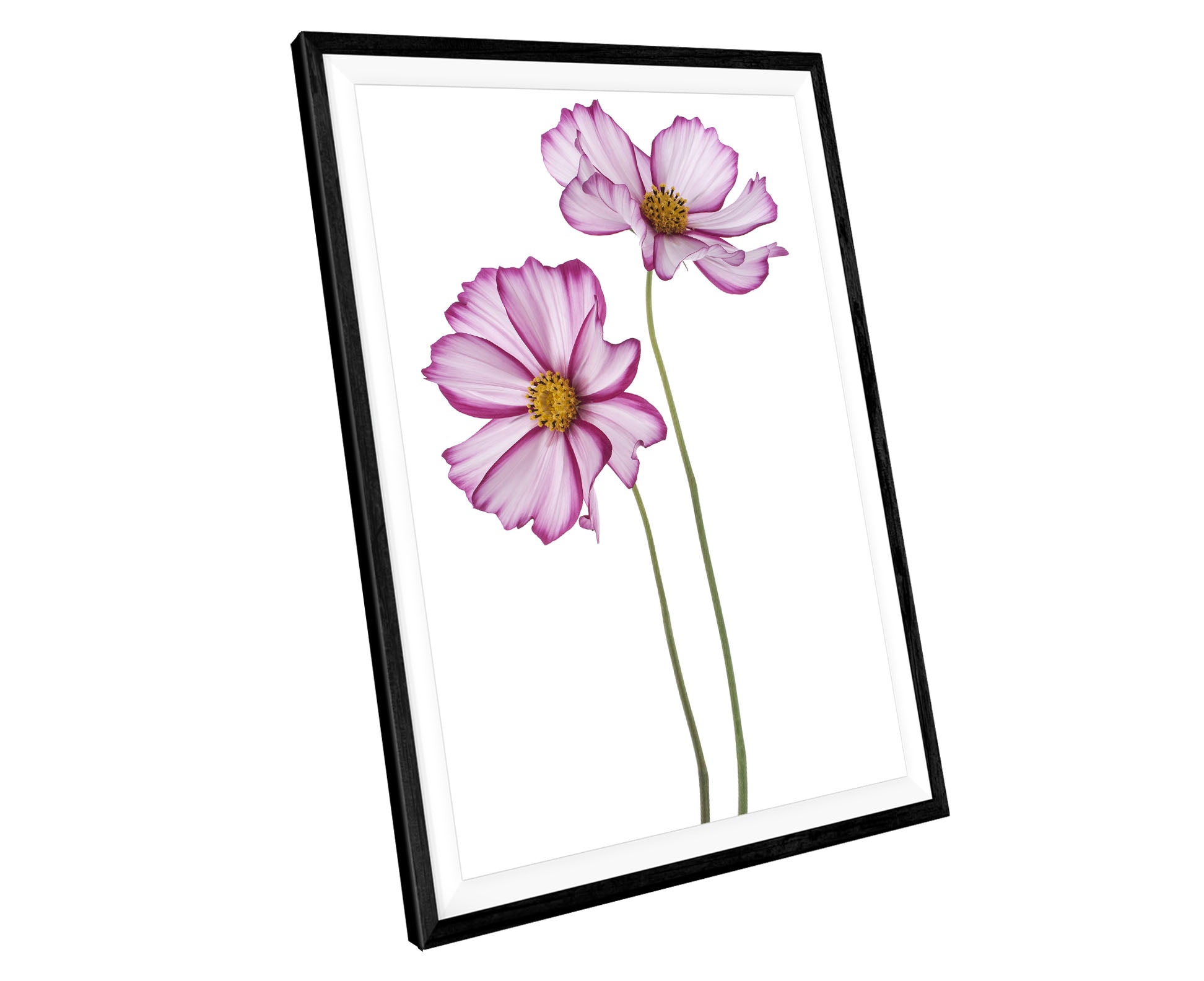 Pink Fuchsia Flowers WALL ART PRINT Poster Picture Wall Hanging