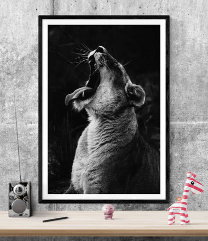 Lion Black & White WALL ART PRINT Poster Picture Wall Hanging