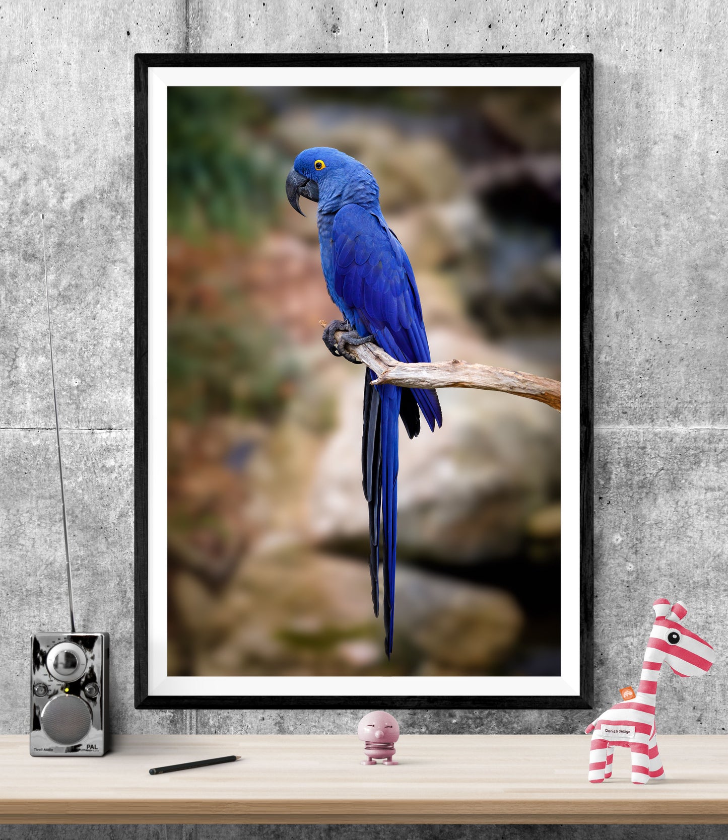 Blue Macaw Parrot Bird WALL ART PRINT Poster Picture Wall Hanging