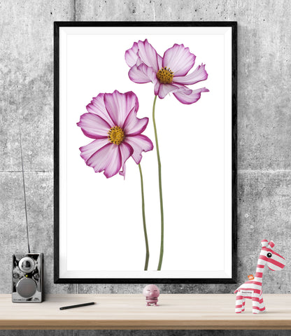 Pink Fuchsia Flowers WALL ART PRINT Poster Picture Wall Hanging