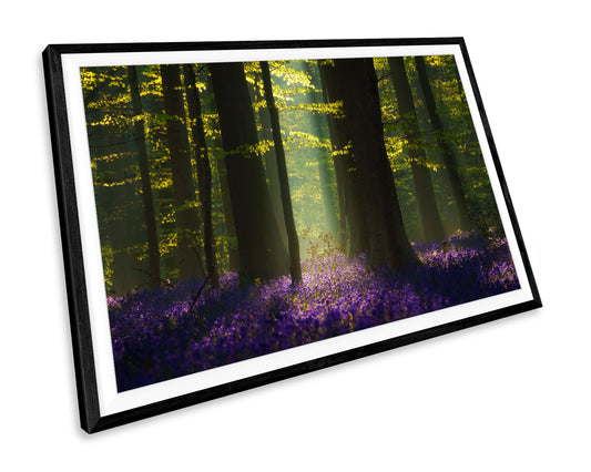 Bluebells Woodland Landscape WALL ART PRINT Poster Picture Wall Hanging