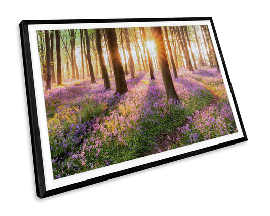 Bluebells Spring Forest WALL ART PRINT Poster Picture Wall Hanging