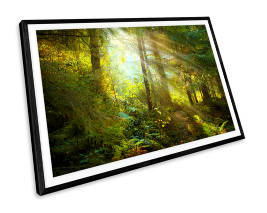 Forest Trees Green WALL ART PRINT Poster Picture Wall Hanging