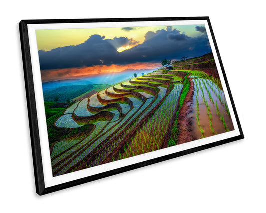 Thailand Paddy Field Sunset WALL ART PRINT Poster Picture Wall Hanging