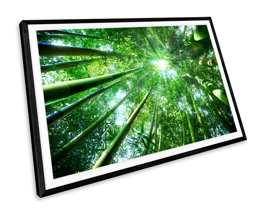 Forest Trees WALL ART PRINT Poster Picture Wall Hanging