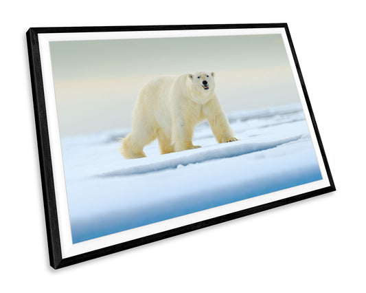 Polar Bear Wildlife Scenic WALL ART PRINT Poster Picture Wall Hanging