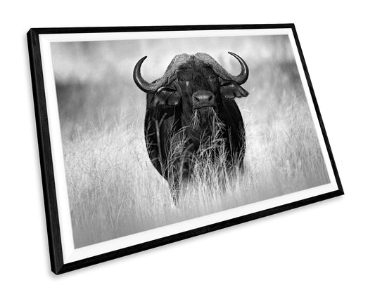 Buffalo Wildlife Black & White WALL ART PRINT Poster Picture Wall Hanging