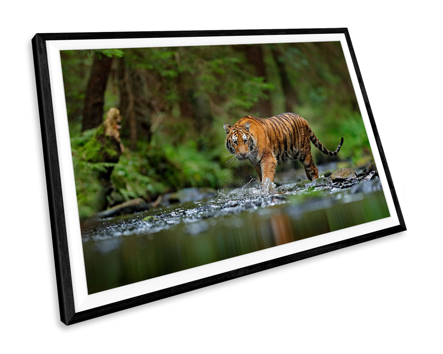 Tiger Animals WALL ART PRINT Poster Picture Wall Hanging