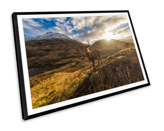 Stag Animal Landscape Mountain WALL ART PRINT Poster Picture Wall Hanging