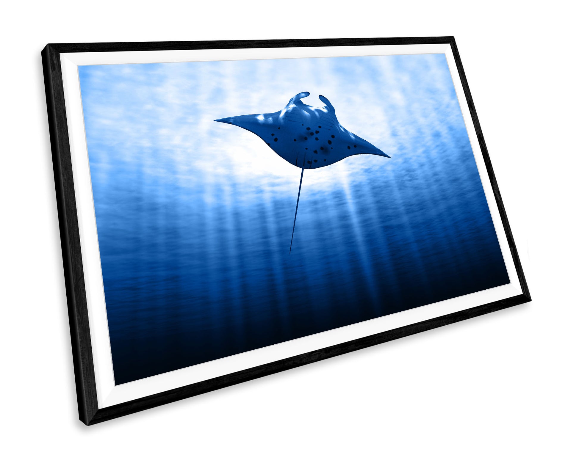 Manta Ray Sealife Wildlife WALL ART PRINT Poster Picture Wall Hanging