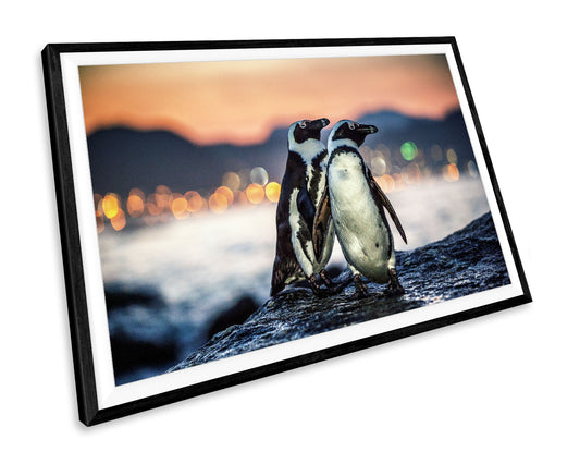 Penguins Wildfife WALL ART PRINT Poster Picture Wall Hanging