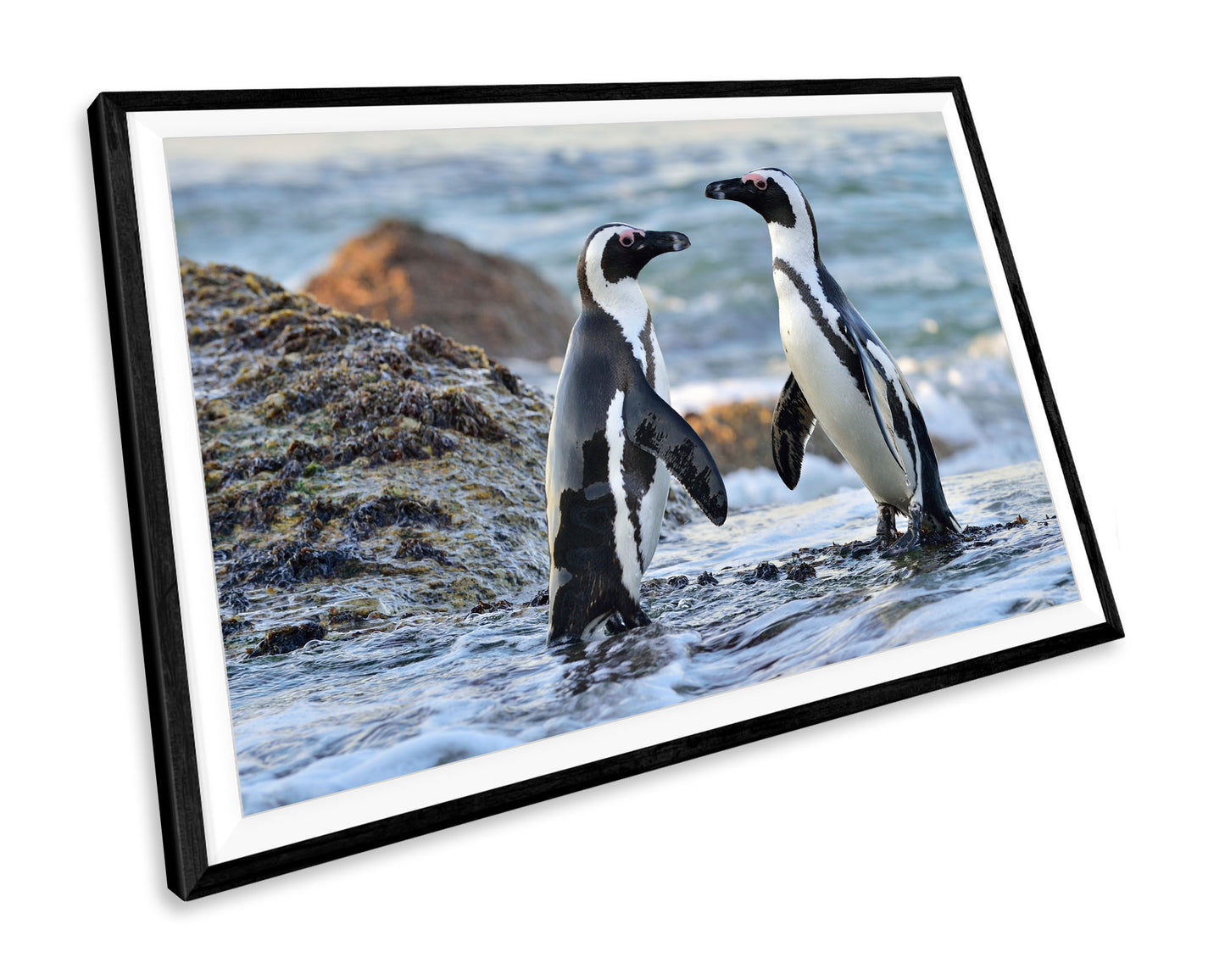 Penguins Wildlife WALL ART PRINT Poster Picture Wall Hanging