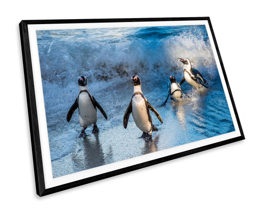 Penguins Wildlife Seascape WALL ART PRINT Poster Picture Wall Hanging