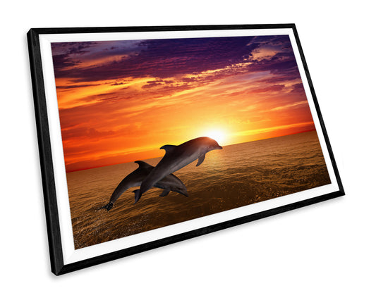 Dolphins Sunset Wildlife WALL ART PRINT Poster Picture Wall Hanging