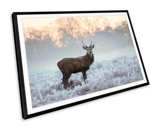 Winter Stag Animal WALL ART PRINT Poster Picture Wall Hanging