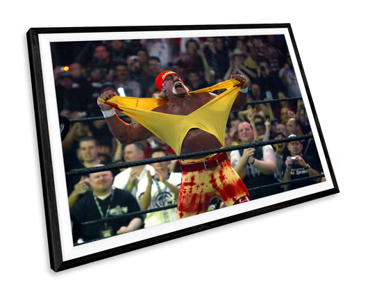 Hulk Hogan WALL ART PRINT Poster Picture Wall Hanging