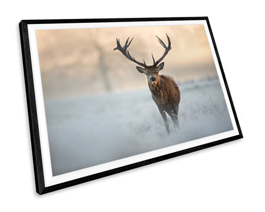 Winter Stag Animal WALL ART PRINT Poster Picture Wall Hanging 