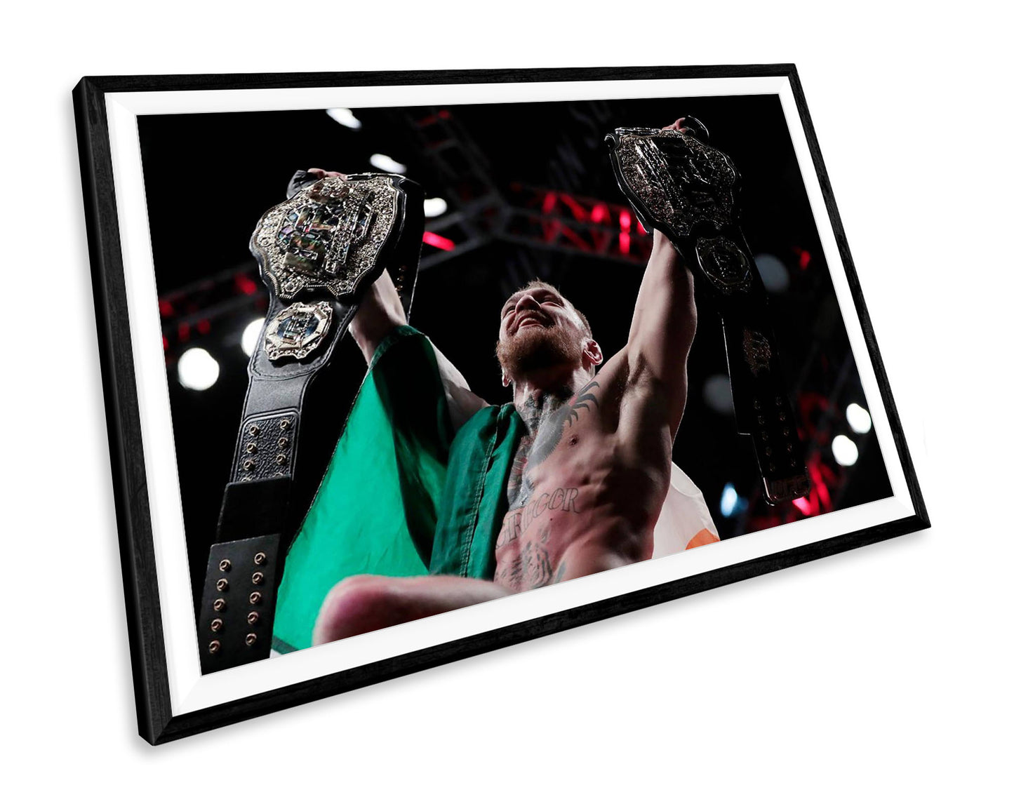 Conor McGregor Double Champ Ufc WALL ART PRINT Poster Picture Wall Hanging