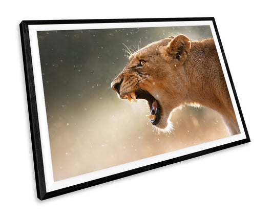 Lion Roaring Animals WALL ART PRINT Poster Picture Wall Hanging
