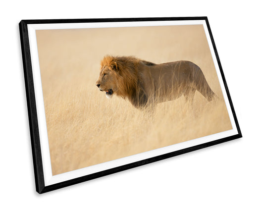 Lion Animal WALL ART PRINT Poster Picture Wall Hanging