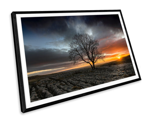 Sunset Landscape Tree WALL ART PRINT Poster Picture Wall Hanging