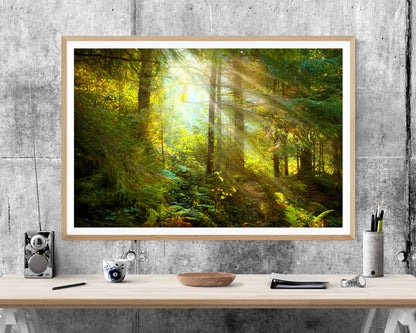 Forest Trees Green WALL ART PRINT Poster Picture Wall Hanging