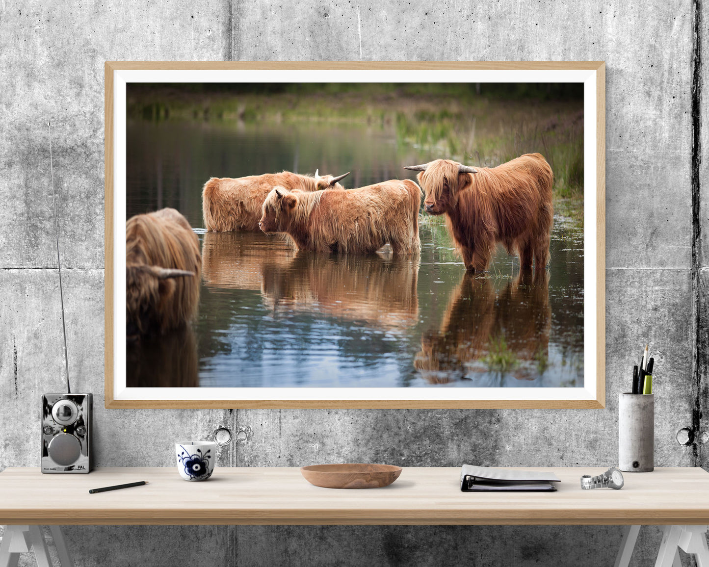 Highland Cow Scotland WALL ART PRINT Poster Picture Wall Hanging