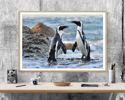 Penguins Wildlife WALL ART PRINT Poster Picture Wall Hanging