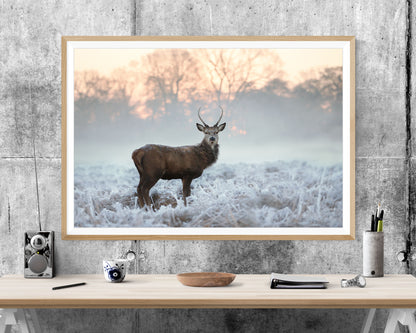 Winter Stag Animal WALL ART PRINT Poster Picture Wall Hanging