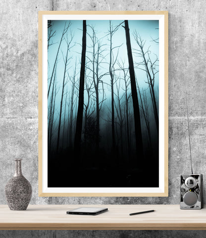 Forest Trees Minimalist WALL ART PRINT Poster Picture Wall Hanging