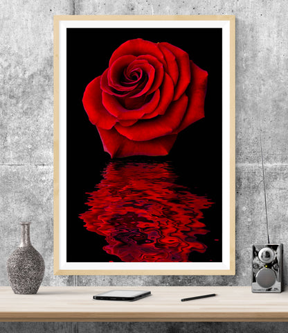 Red Rose Flower WALL ART PRINT Poster Picture Wall Hanging