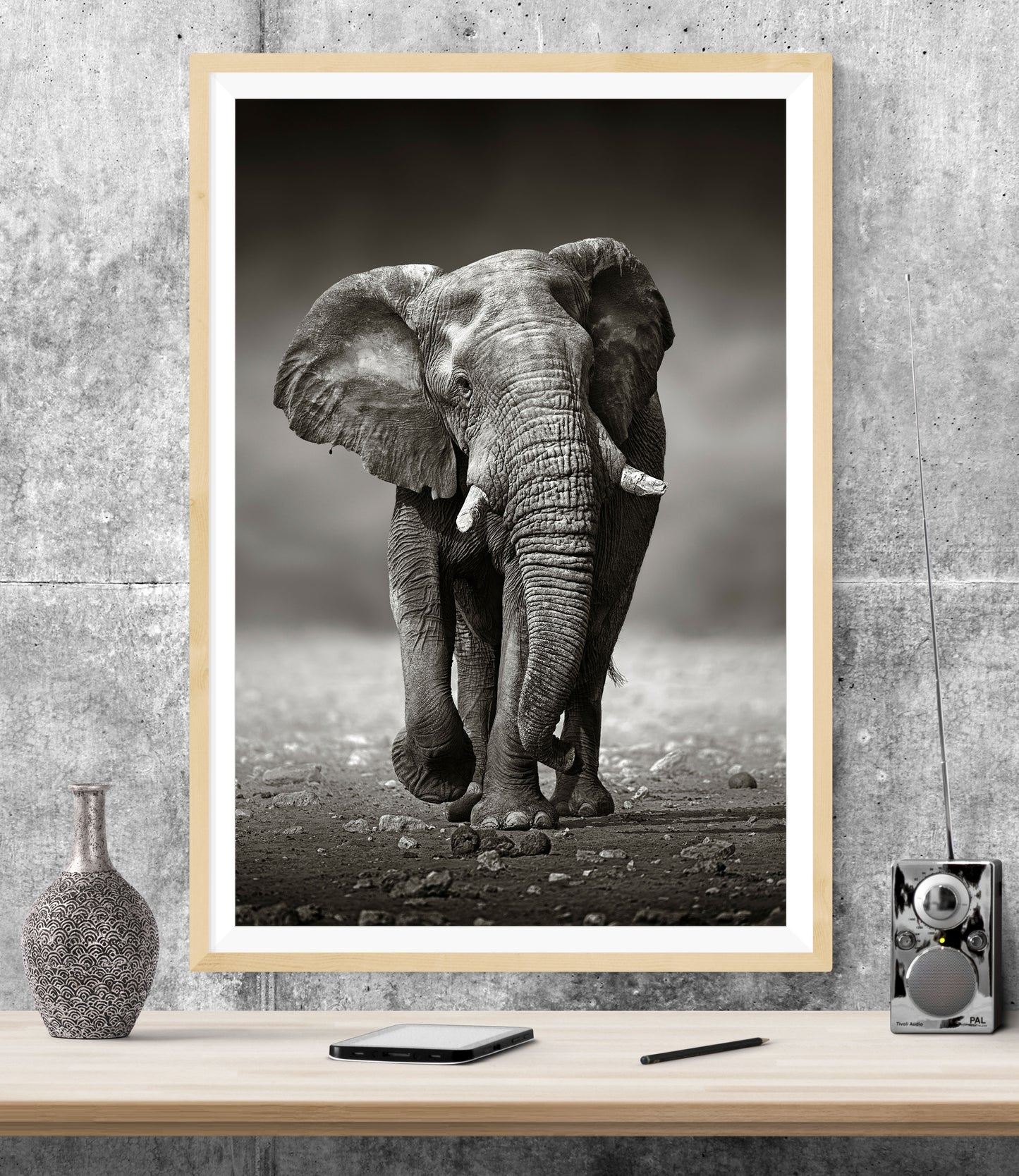 Elephant Animals WALL ART PRINT Poster Picture Wall Hanging